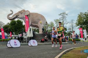 BIB: 
                            <button type="button" onclick="openModal(26528761)" class="btn btn-primary btn-sm float-right btn-popup" data-toggle="modal" data-target=".modal-high-quality">
                        <i class="fas fa-shopping-cart"></i> Add to Cart
                    </button>
                                            <button type="button" onclick="isThisMe(26528761, true)" class="btn btn-success btn-sm float-right btn-popup btn-isme hidden" data-toggle="tooltip" data-placement="bottom" title="นี่คือรูปของคุณใช่ไหม คลิกที่นี่เพื่อเอาเข้าอัลบั้ม">
                        <i class="fas fa-plus"></i> Add to album
                    </button>
                    <button type="button" onclick="isThisMe(26528761, false)" class="btn btn-warning btn-sm float-right btn-popup btn-isnotme hidden">
                        <i class="fas fa-ban"></i> Remove from album
                    </button>